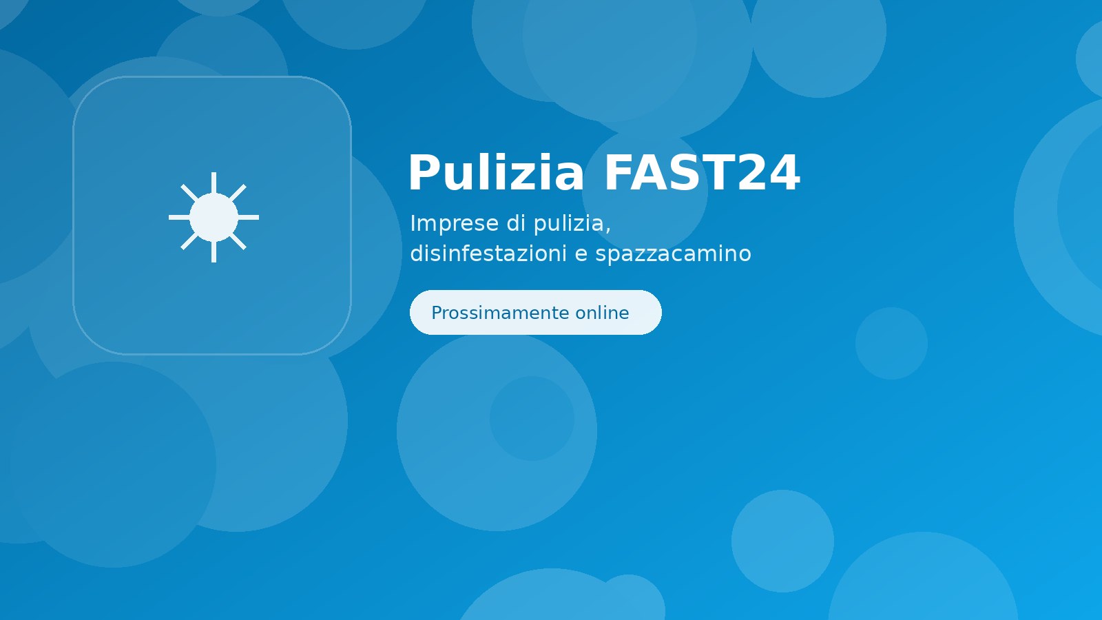 Imprese di pulizia, disinfestazioni e spazzacamino